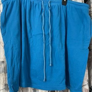 Woman Within Size 3X Blue  Elastic & Drawstring Waist Skort. Side Pockets